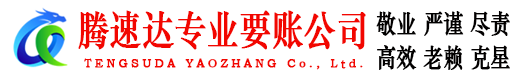 平远腾速达清债公司